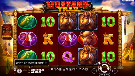 스트리트 레이서